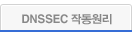 DNSSEC 작동원리